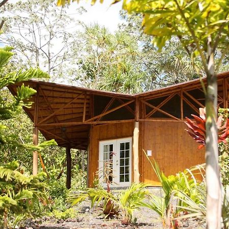 Kalani Oceanside Retreat Villa Pahoa Екстериор снимка