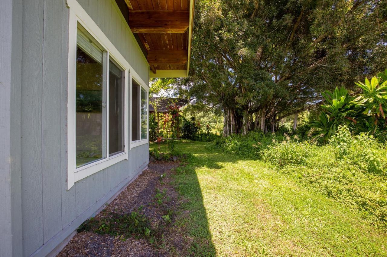 Kalani Oceanside Retreat Villa Pahoa Екстериор снимка