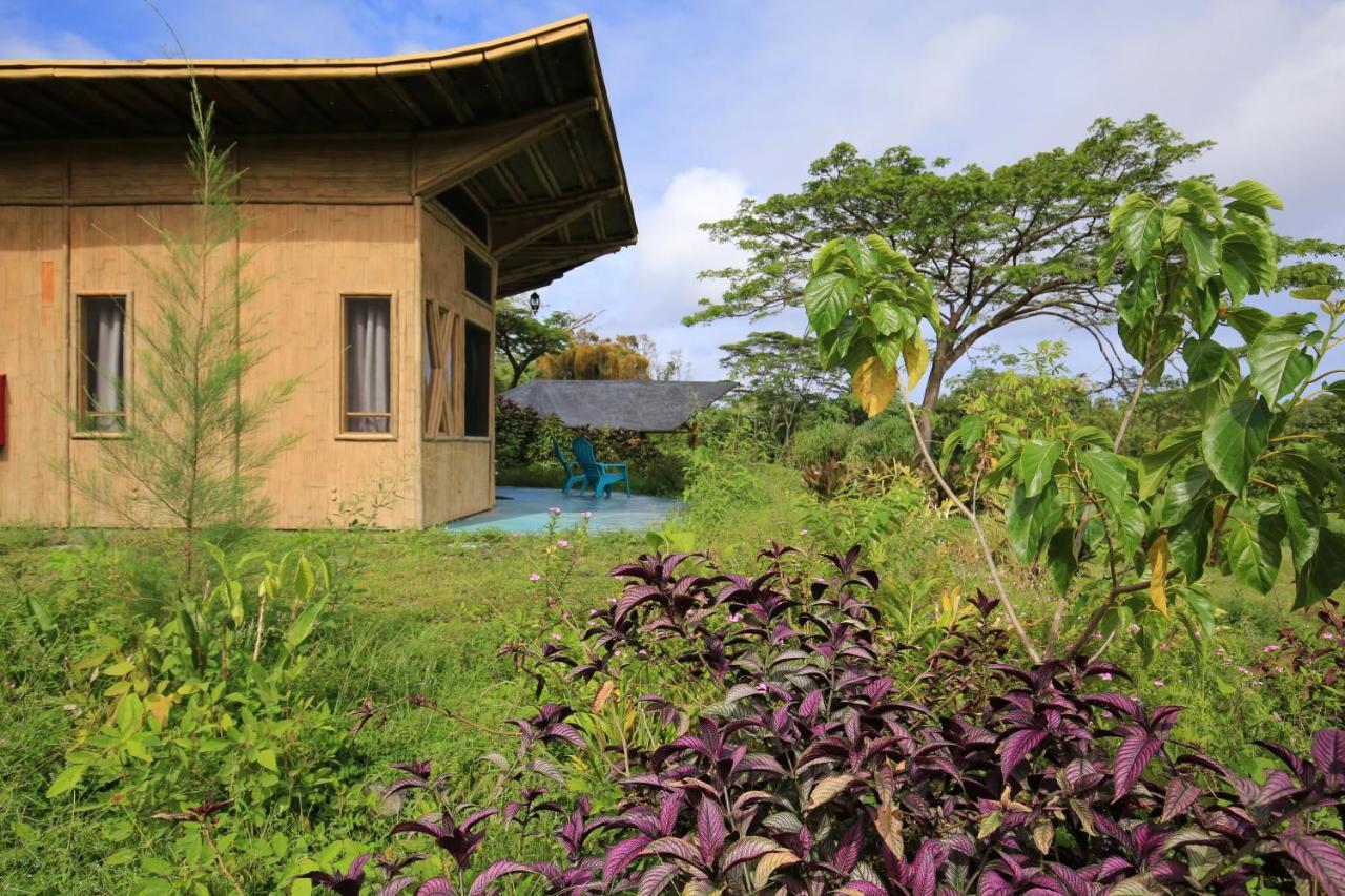 Kalani Oceanside Retreat Villa Pahoa Екстериор снимка