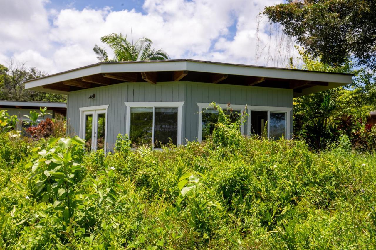 Kalani Oceanside Retreat Villa Pahoa Екстериор снимка