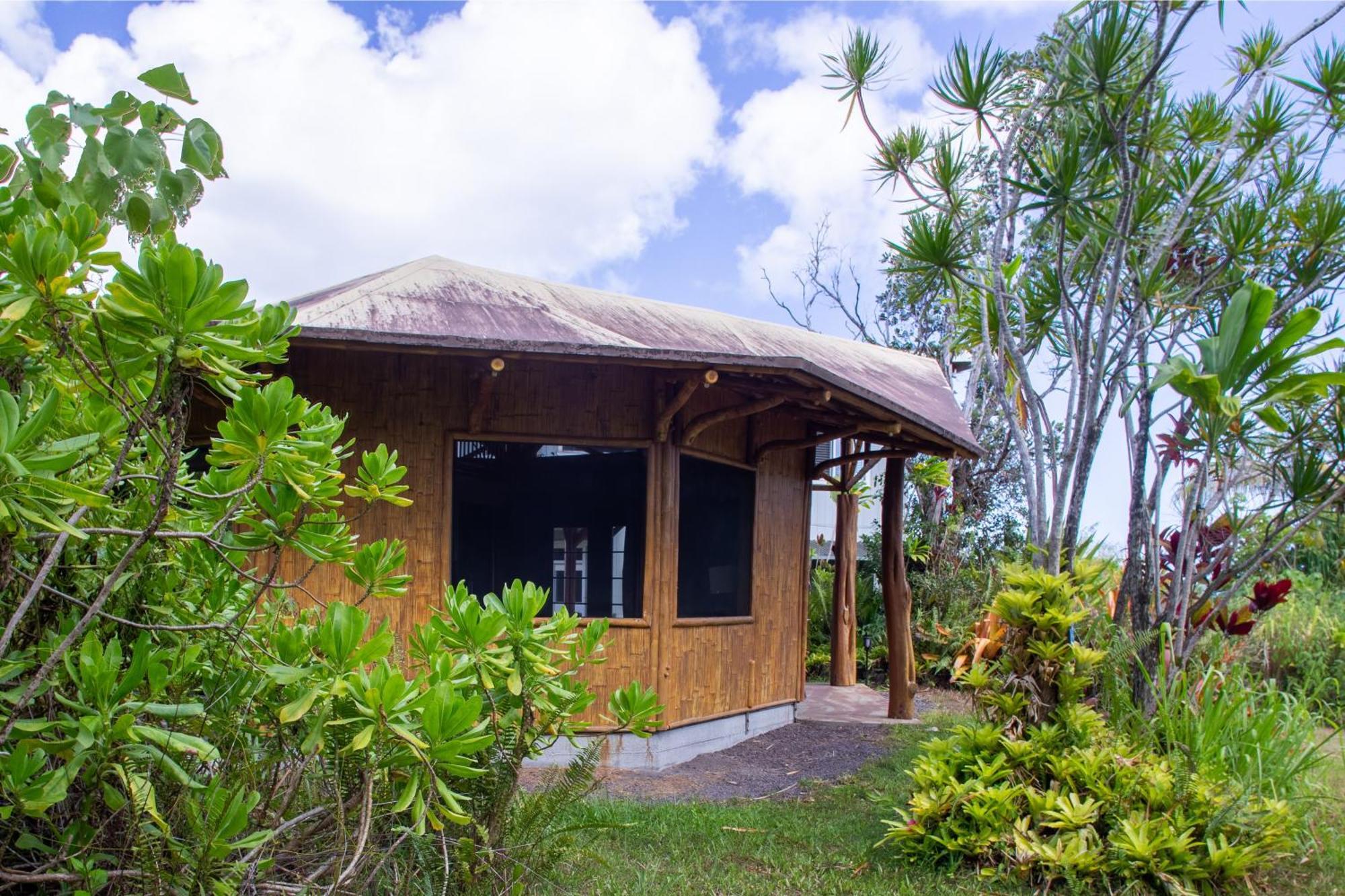 Kalani Oceanside Retreat Villa Pahoa Екстериор снимка