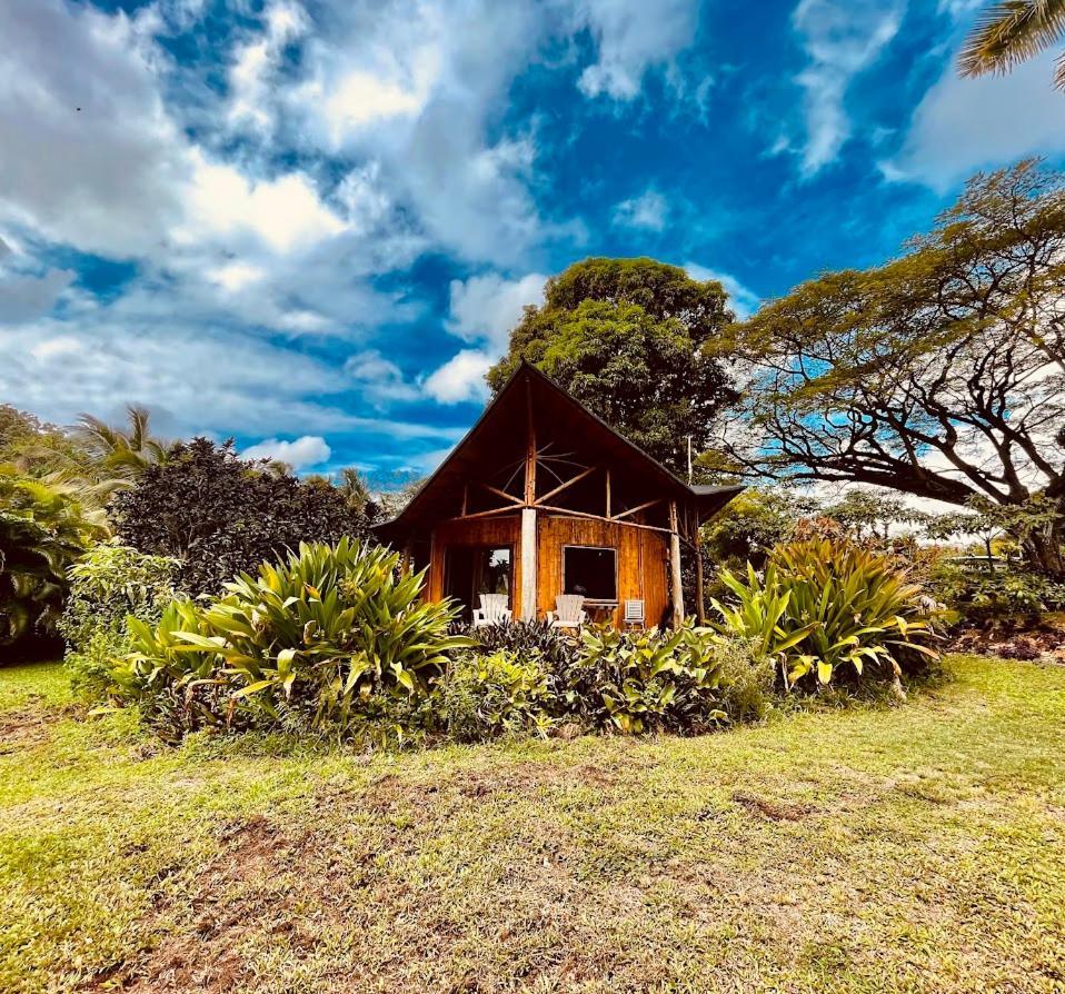 Kalani Oceanside Retreat Villa Pahoa Екстериор снимка
